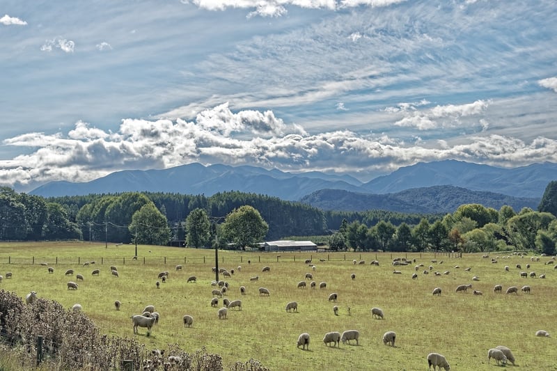 Fiordland National Park, New Zealand